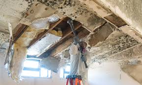 Mold Documentation for Insurance Claims in Valatie, NY